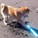 YT/TW Ерасик Eraserqwe